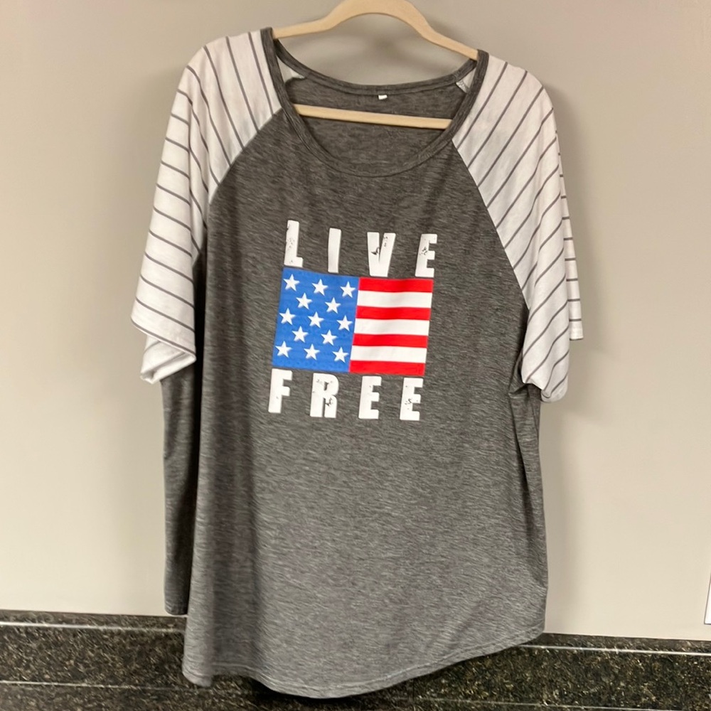 Live Free Raglan Tee - Gray with White Striped Sleeves